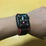 알리발 스포츠 루프 도착